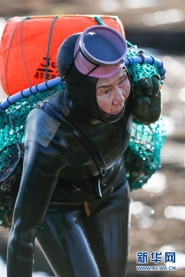 （國(guó)際）（2）韓國(guó)濟(jì)州島的海女