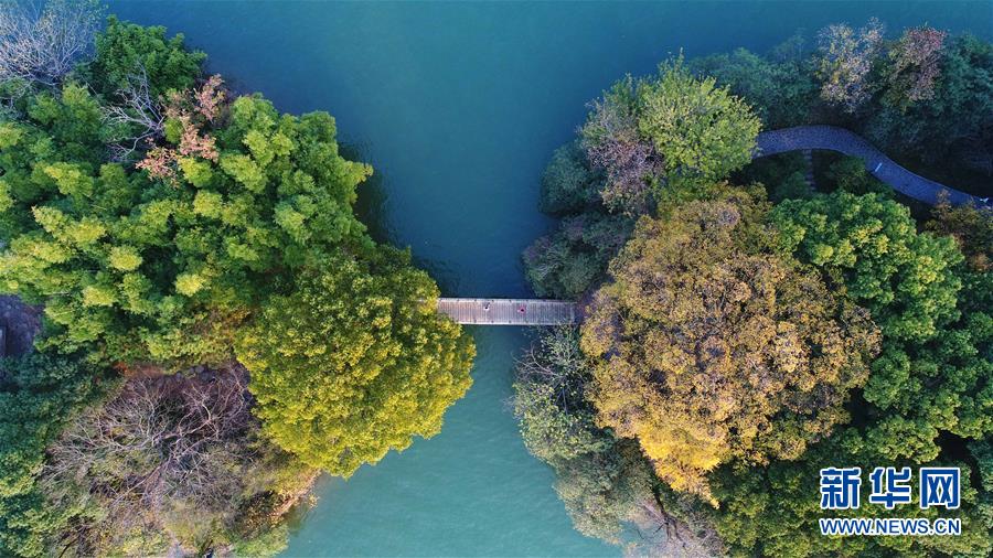 (美麗中國)(6)層林染翠湖