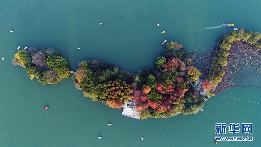 (美麗中國)(9)層林染翠湖