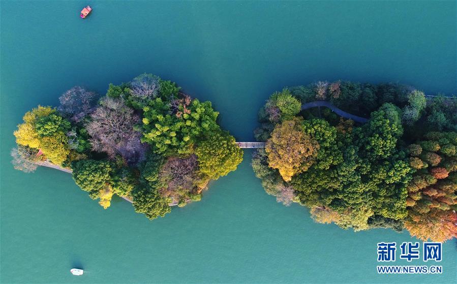 (美麗中國)(4)層林染翠湖