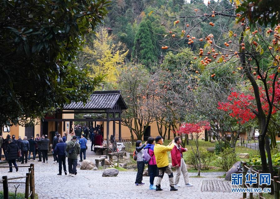 (新華全媒頭條)(2)向著新的峰巔登攀——從井岡山精神看中國改革開放40年