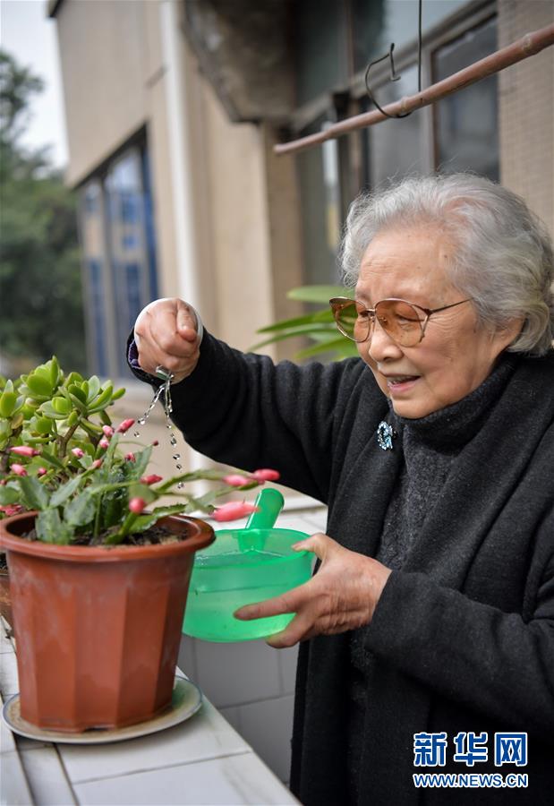 （圖文互動）（4）“熊貓小姐”金勖琪：我與世界級萌寵的不解緣