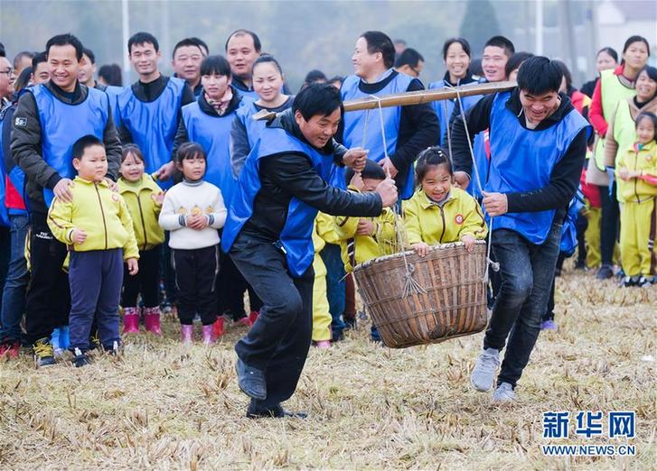 （社會(huì)）（1）稻田游戲樂(lè)淘淘