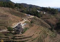 （在習(xí)近平新時(shí)代中國(guó)特色社會(huì)主義思想指引下·慶祝改革開放40周年·共享發(fā)展·圖文互動(dòng)）（3）“浙江親人”請(qǐng)心安 白茶苗已種滿山——浙江安吉捐贈(zèng)四川青川白茶苗種植地探訪