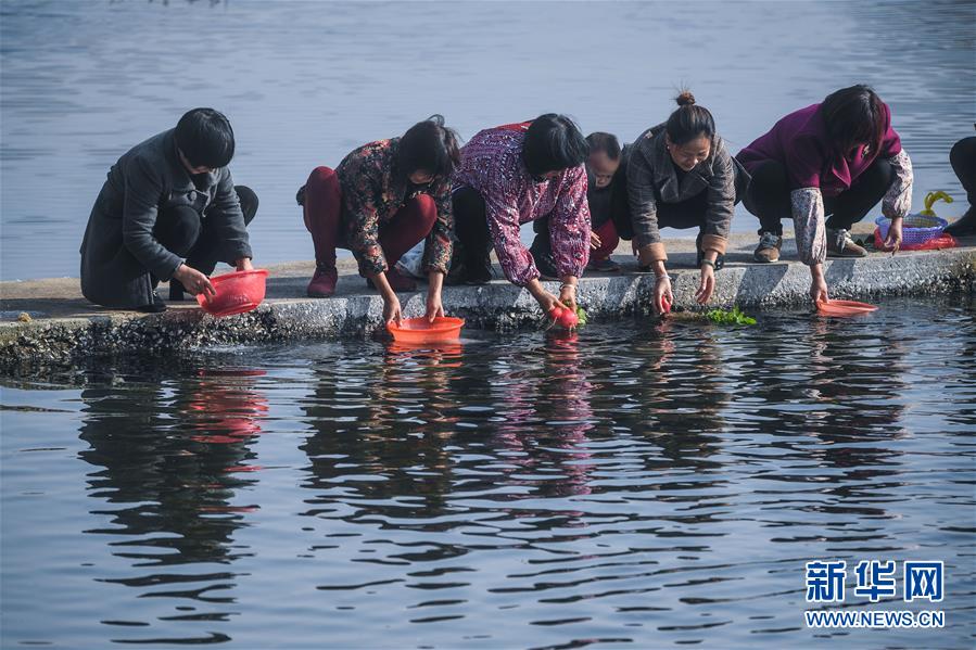 （壯闊東方潮 奮進新時代——慶祝改革開放40年）（1）浙江湖州：十年“河長制” 守護綠水青山