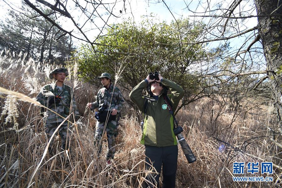 （社會）（1）武夷山國家公園開展生態科考活動