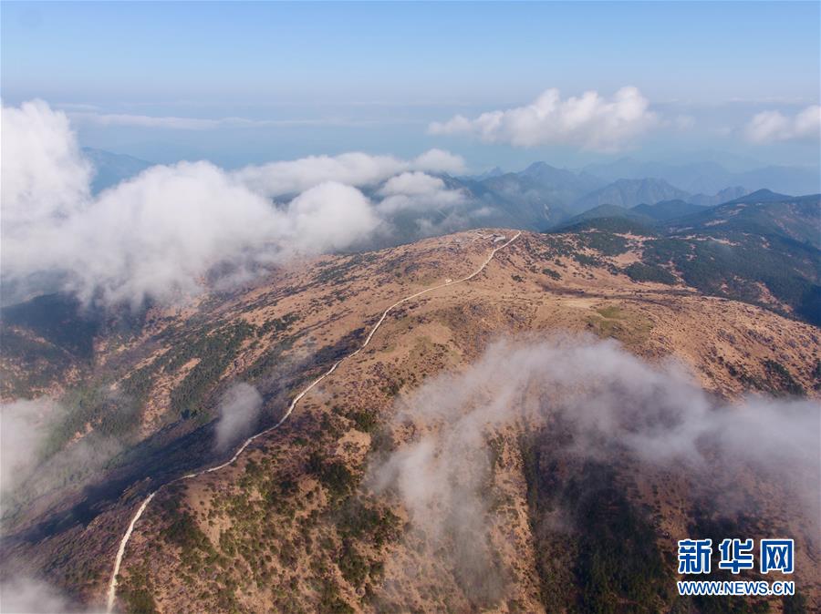 （社會）（8）武夷山國家公園開展生態(tài)科考活動