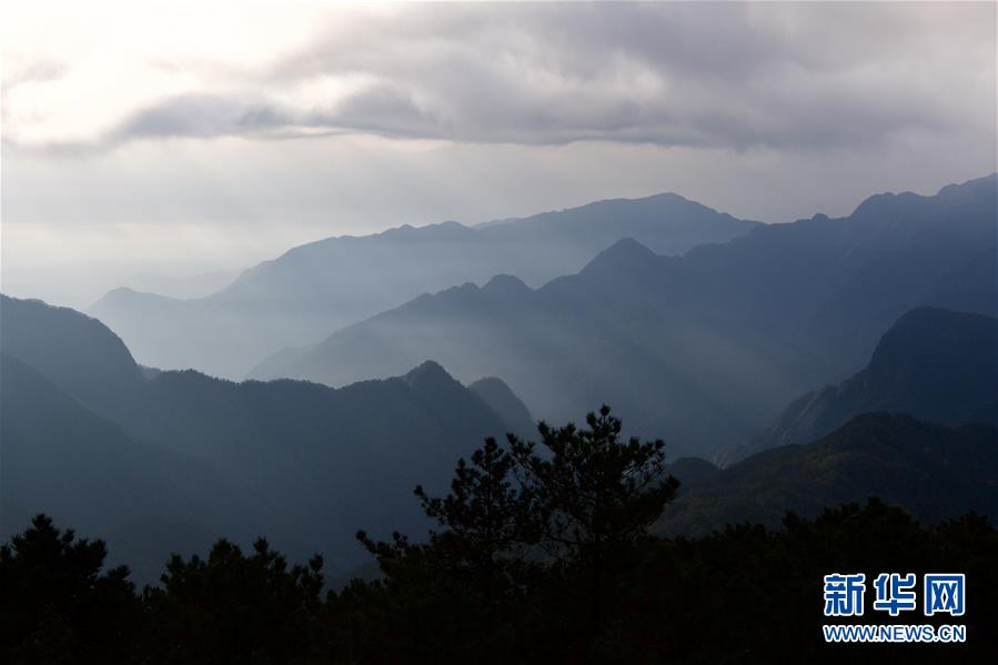 （社會）（9）武夷山國家公園開展生態(tài)科考活動