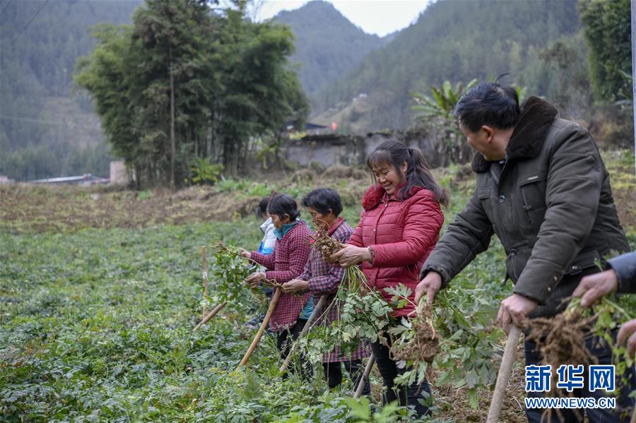 （走基層 聽民聲）（1）重慶“雷區”: 貧困漸遠 幸福平安