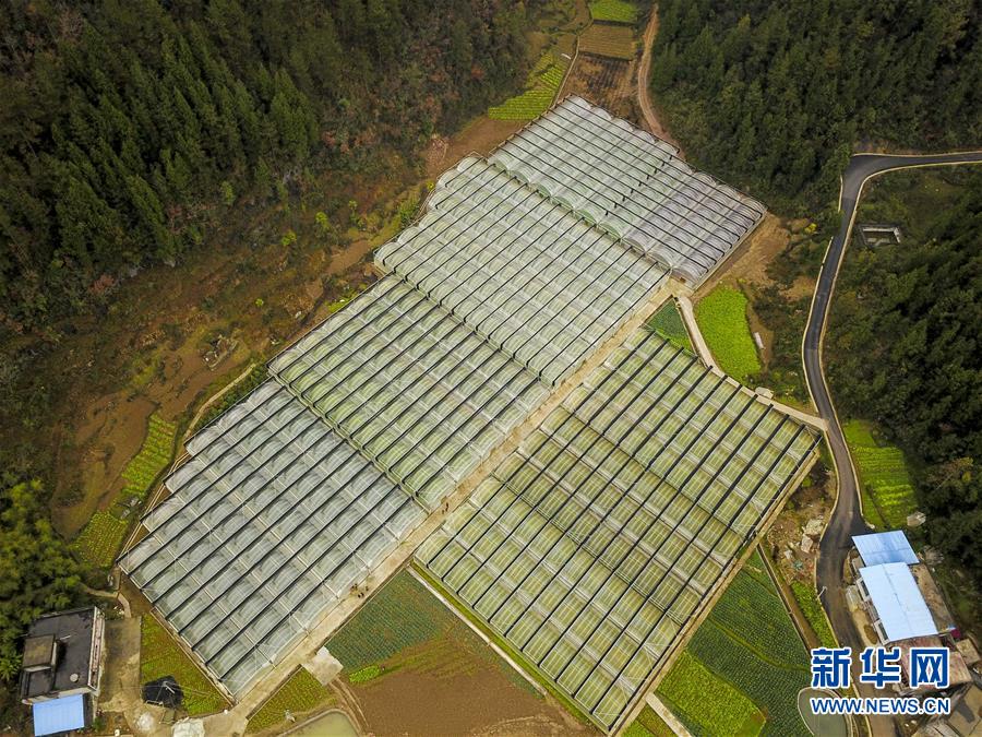 （走基層 聽民聲）（4）重慶“雷區”: 貧困漸遠 幸福平安