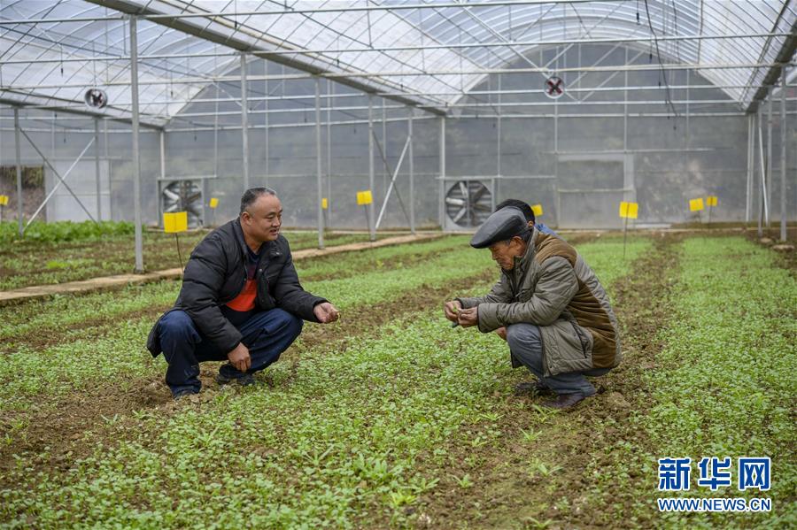 （走基層 聽民聲）（6）重慶“雷區”: 貧困漸遠 幸福平安