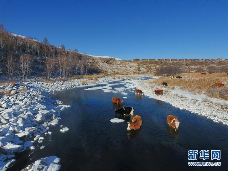 （環(huán)境）（1）嚴寒中的“不凍河”