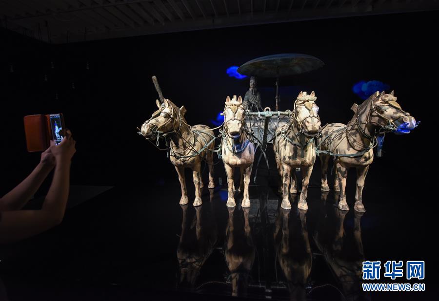 （國際）（3）“秦始皇兵馬俑：永恒的守衛(wèi)”展覽在新西蘭國家博物館舉行預(yù)展