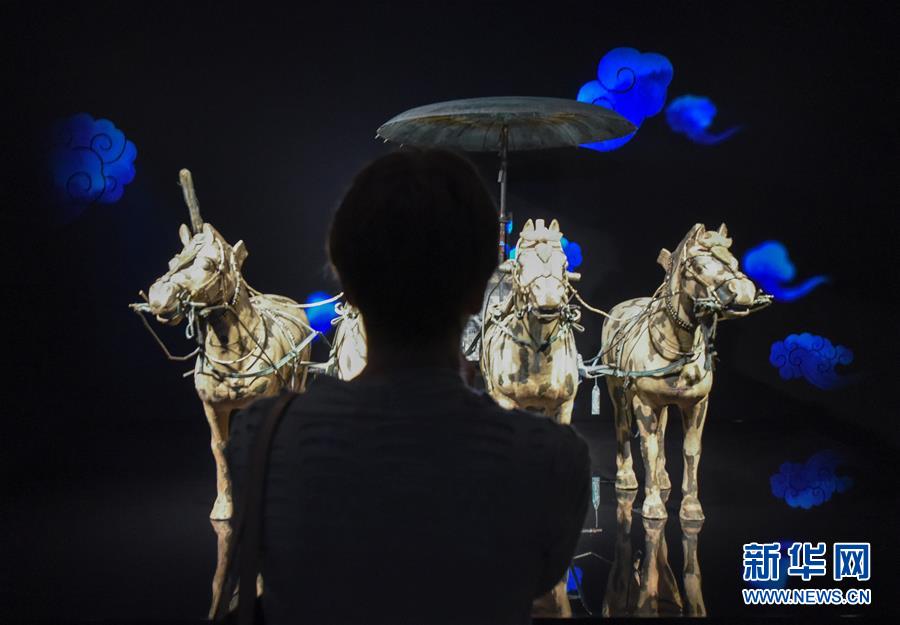 （國際）（4）“秦始皇兵馬俑：永恒的守衛(wèi)”展覽在新西蘭國家博物館舉行預(yù)展