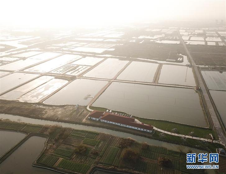 （經濟）（1）太湖“退蟹還湖”環保升級