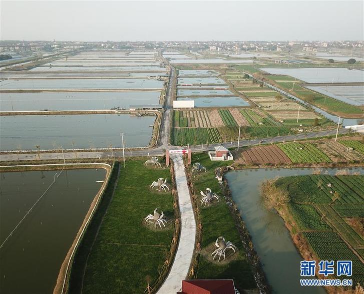 (經濟)(5)太湖“退蟹還湖”環保升級