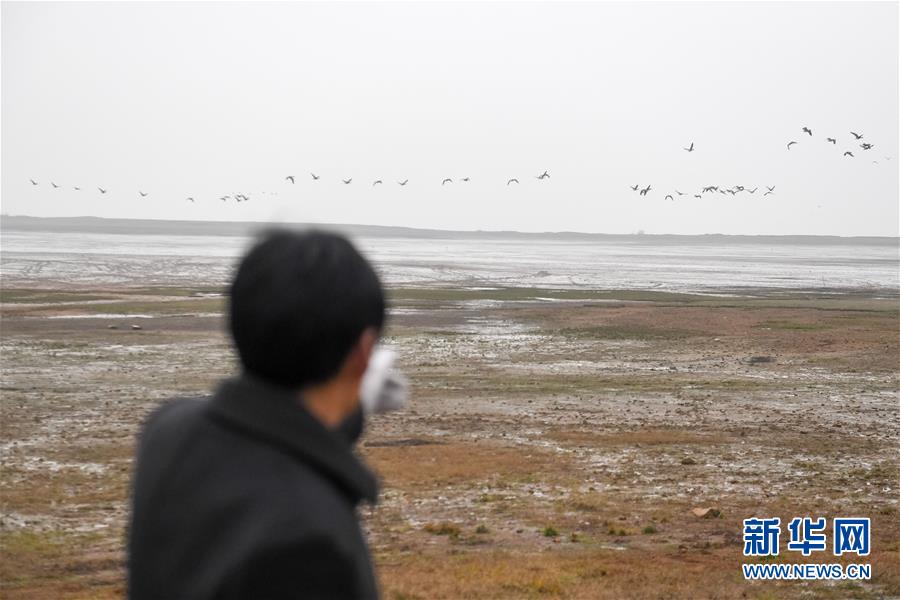 （圖片故事）（6）“候鳥天堂”守護人