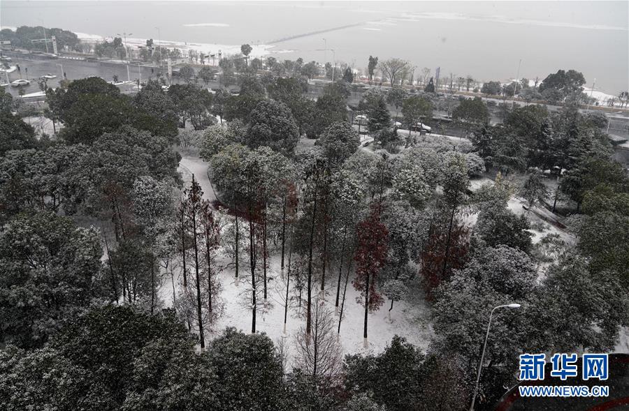 （環(huán)境）（6）歲末迎雪