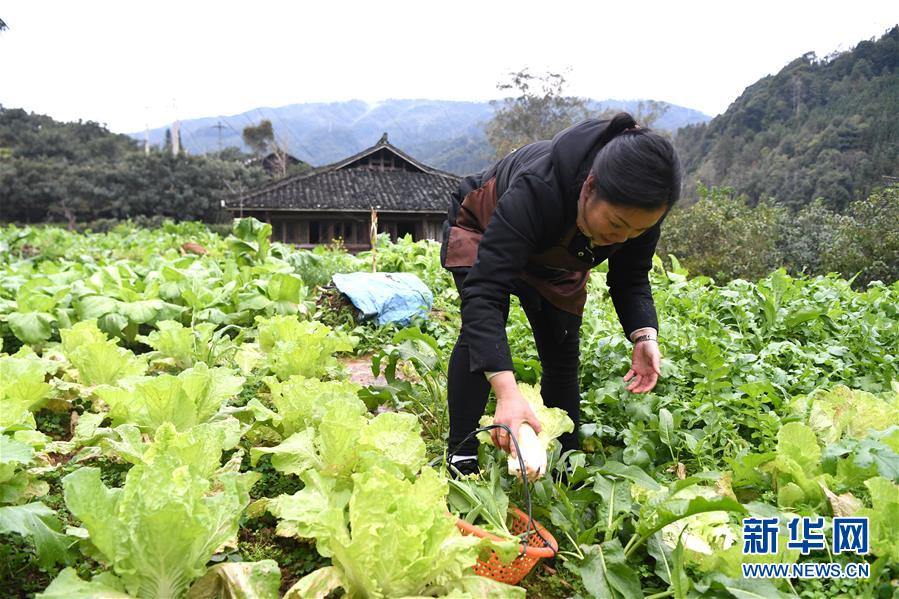 （圖文互動(dòng)）（4）五個(gè)民族一戶(hù)家庭的新年“油頭”