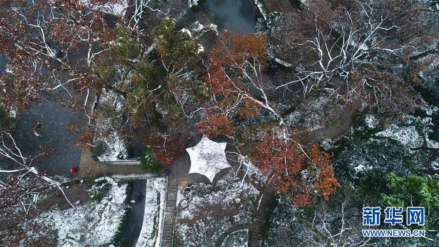 (環境)(3)雪后岳麓景如畫