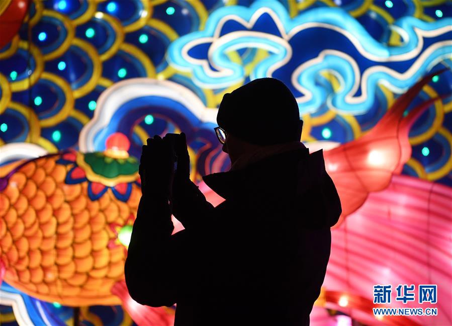 (國際)(2)中國彩燈點亮科隆冬夜