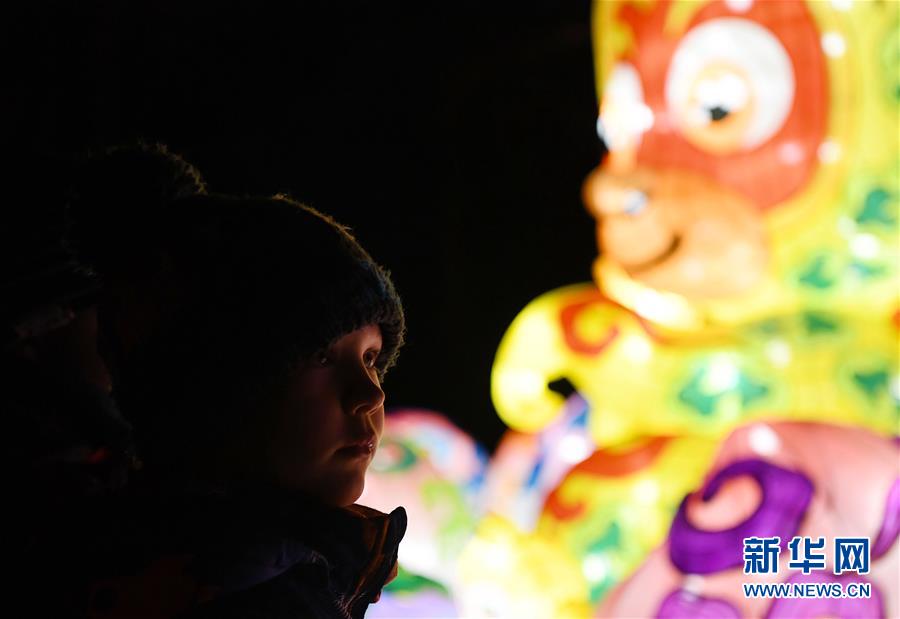 (國際)(3)中國彩燈點亮科隆冬夜