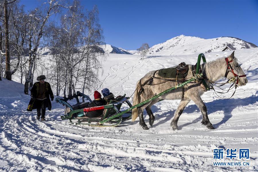 (社會)(7)走進冰雪里的“人間凈土”——喀納斯