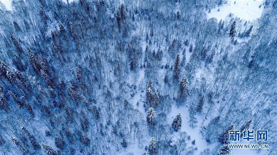 （社會）（10）走進冰雪里的“人間凈土”——喀納斯