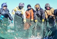（社會）（1）達里諾爾湖上冬捕忙