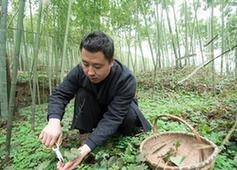 （圖片故事）（1）跟香打交道的男子