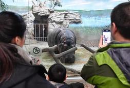 （社會）（2）讓動物溫暖過冬