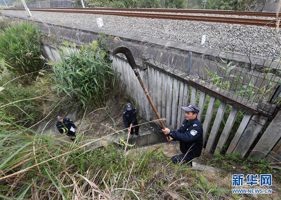 （新春走基層·關注春運）（2）三個堂兄弟一座崗亭六年堅守