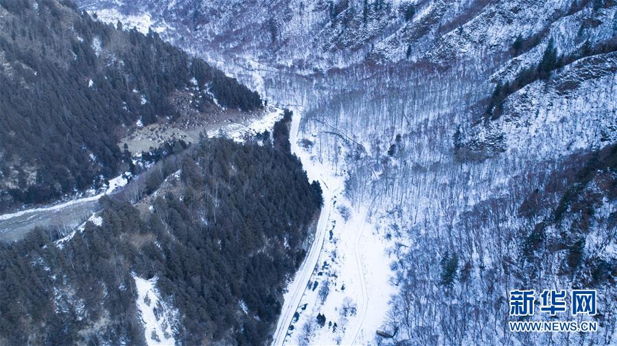（美麗中國）（3）冬季北山的“林海雪原”
