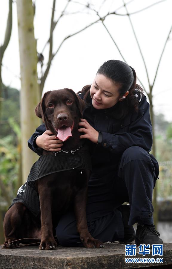 （關(guān)注春運·圖片故事）（3）一個“警犬媽媽”的十年春運堅守