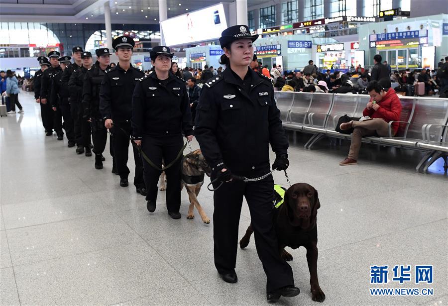 （關注春運·圖片故事）（4）一個“警犬媽媽”的十年春運堅守