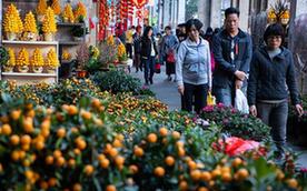 （圖文互動）（3）年桔、年花、年菜里的“年味兒”——澳門年宵市場見聞