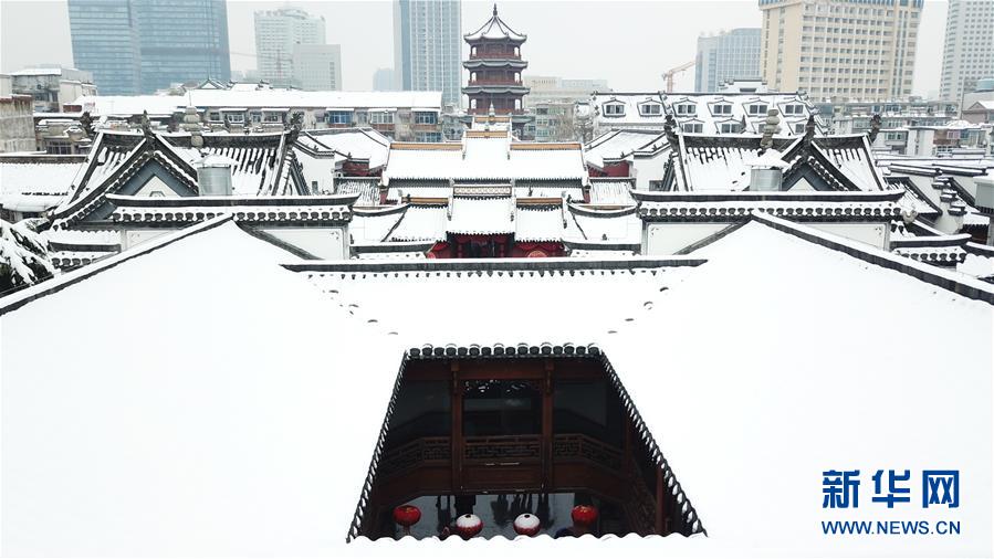 (環境)(4)“雪里紅”