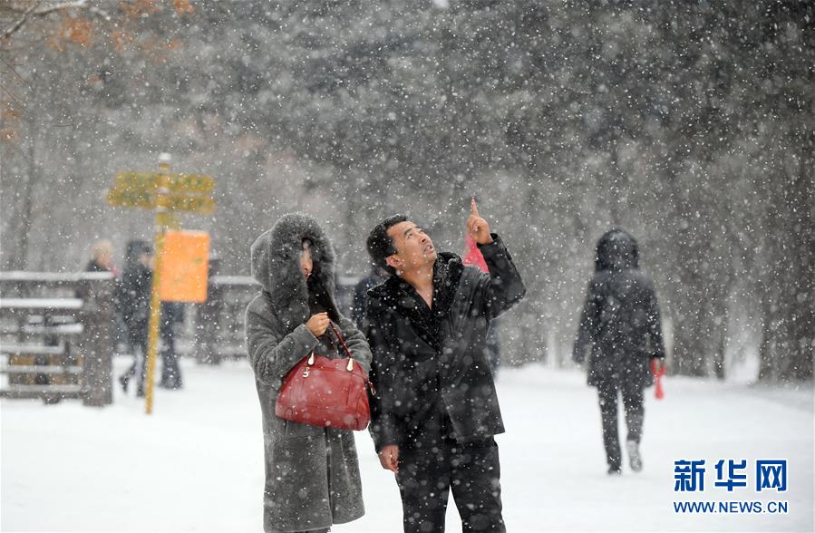 （環境）（4）長春降雪