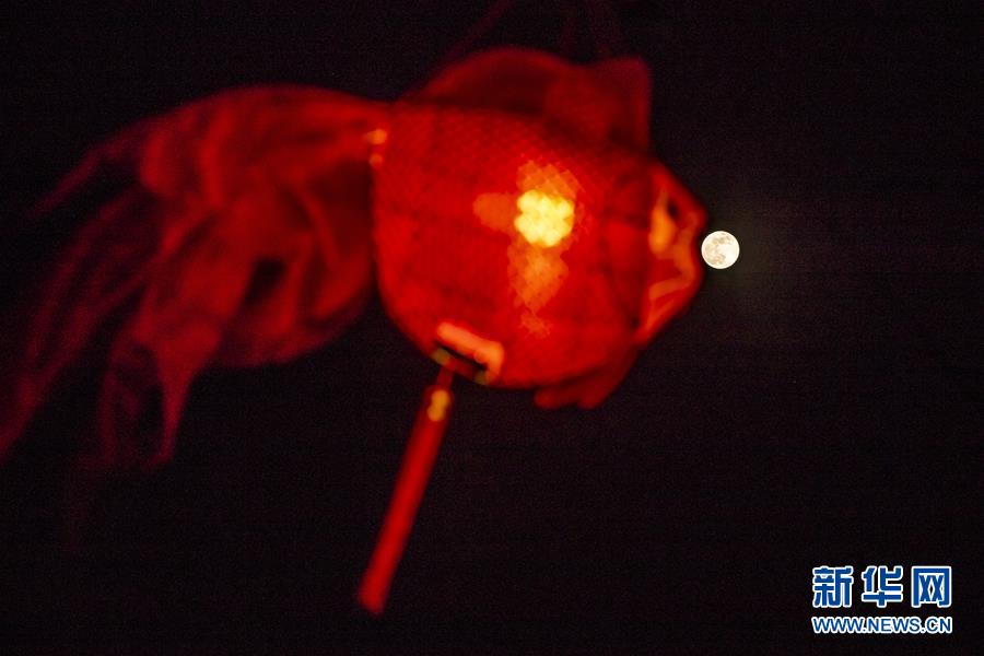 (社會)(12)“超級月亮”遇佳節 元宵滿月更“圓滿”