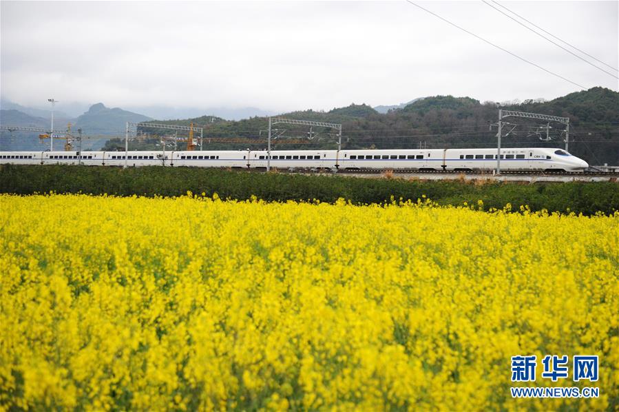 （社會）（1）開往春天的列車