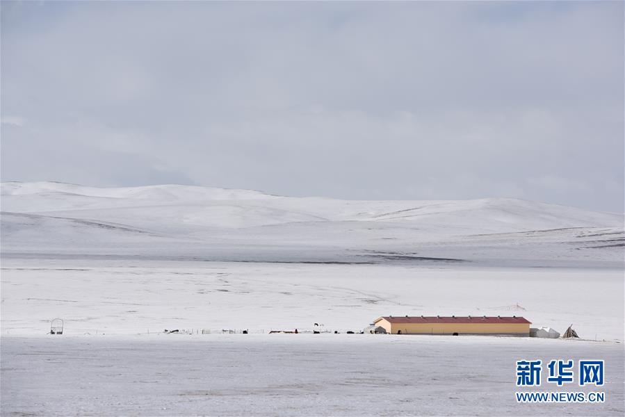 （圖片故事）（1）我的草場分你一半，攜手共渡雪災難關