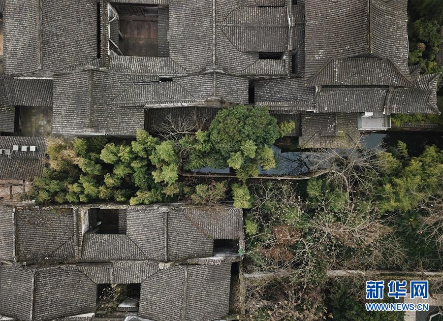 (環境)(6)烏鎮春曉