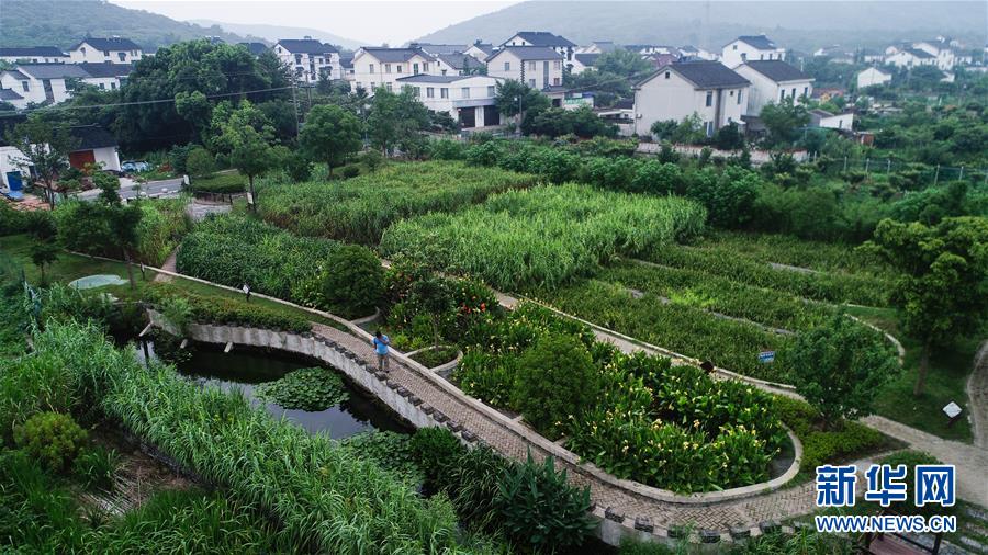 (迎接兩會)(6)共建生態(tài)文明 共享美麗家園