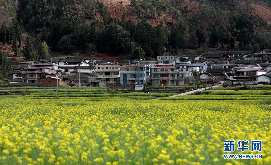 (迎接兩會)(18)共建生態(tài)文明 共享美麗家園