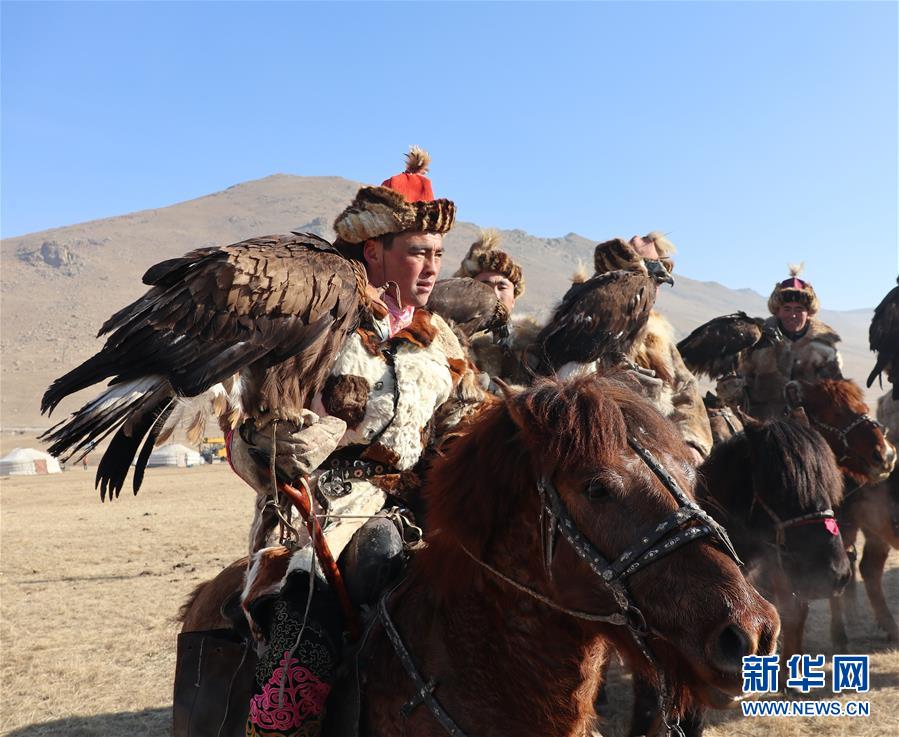 （國際）（2）蒙古國舉辦獵鷹節(jié)吸引游客