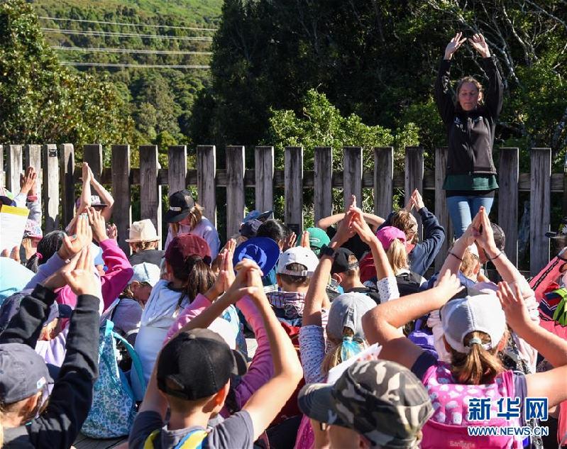 （國際·圖文互動）（1）特寫：新西蘭小學生的一次戶外實踐課