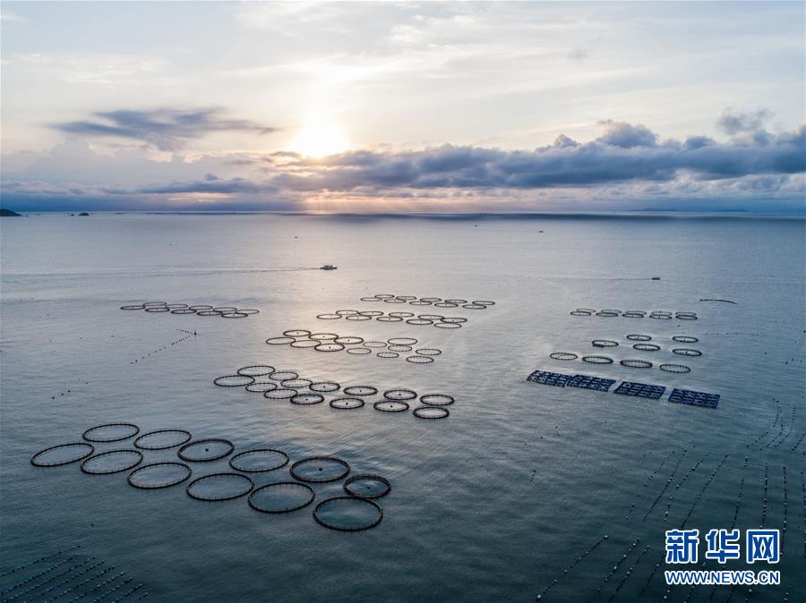 (新華全媒頭條·兩會特別報道·圖文互動)(8)打造高質量發展的強勁引擎——從區域協調發展看奮進中國的發展新空間