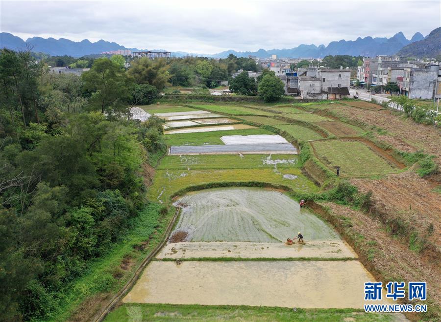 (環境)(5)春到瑤山田景新