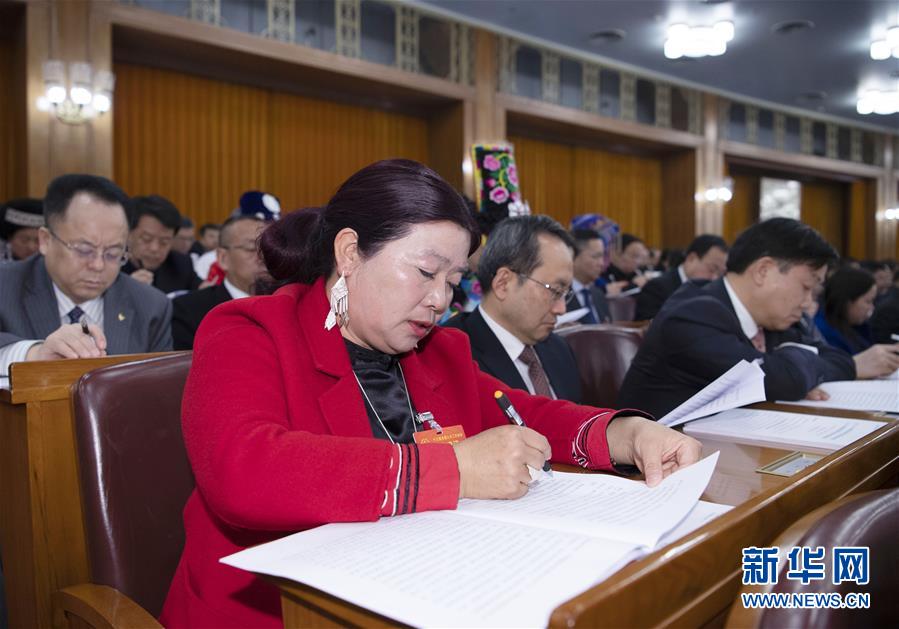 （兩會·圖片故事）（1）全國人大代表王永蘭：推進鄉村振興 打造美麗田園