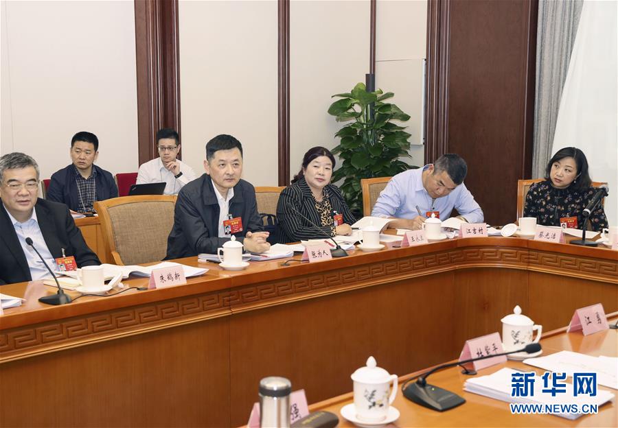 (兩會·圖片故事)(2)全國人大代表王永蘭:推進鄉村振興 打造美麗田園